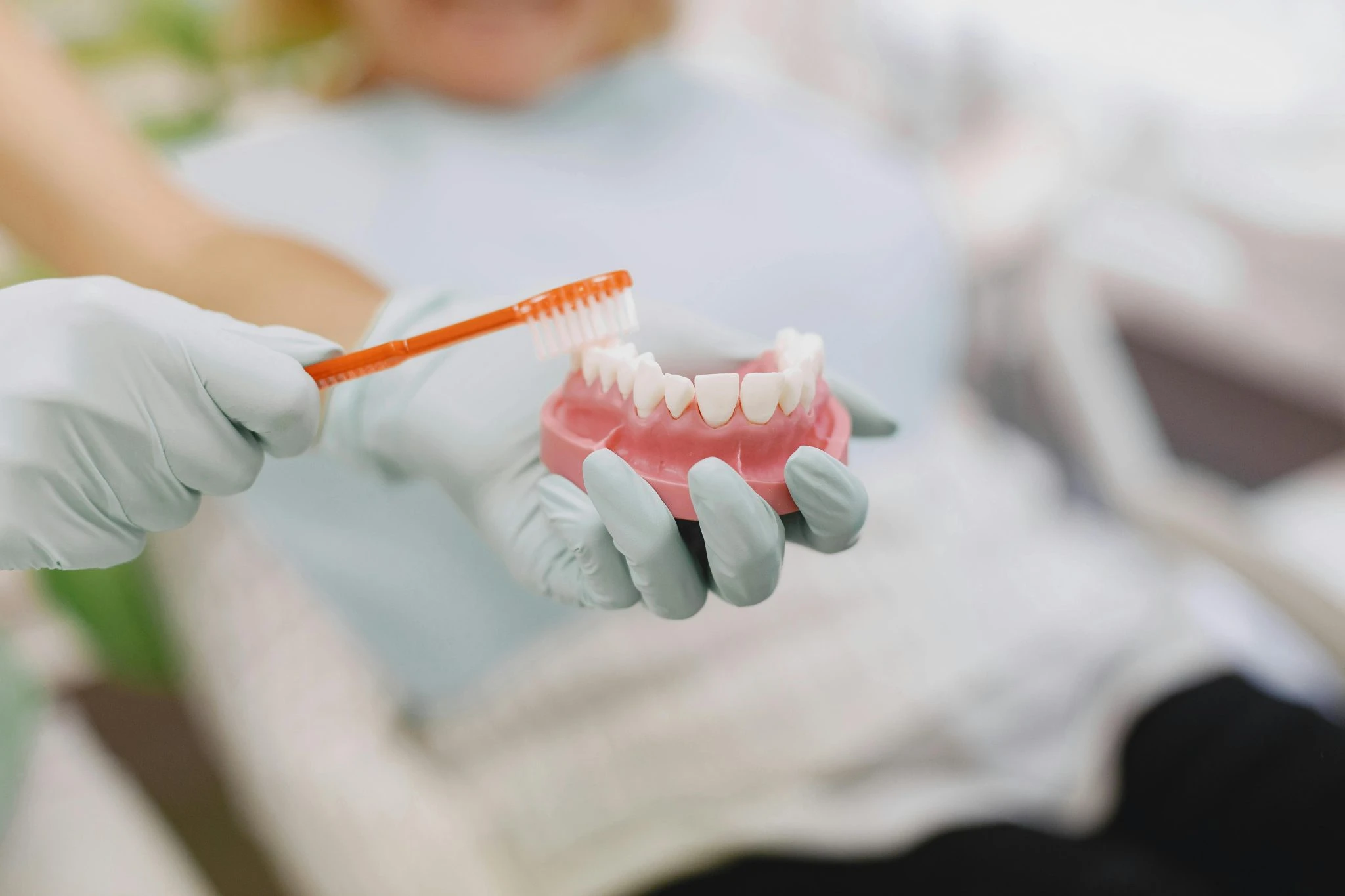 Toothbrush cleaning a dental model during an oral hygiene demonstration